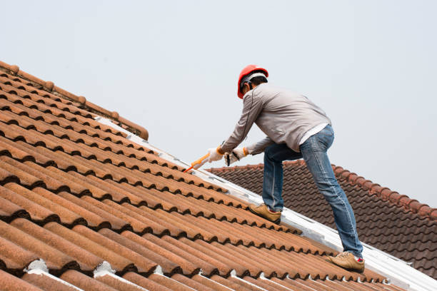 Best Rubber Roofing (EPDM, TPO)  in Hartley, IA